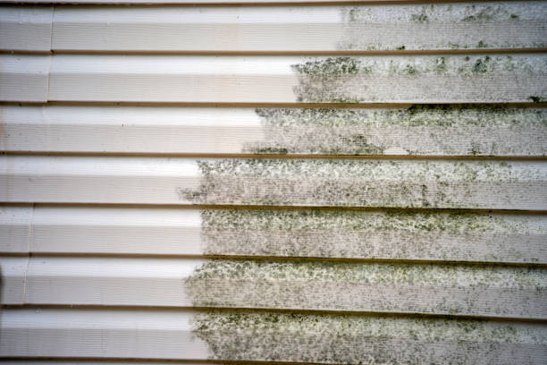 Best Composite Siding  in Highlands, CA